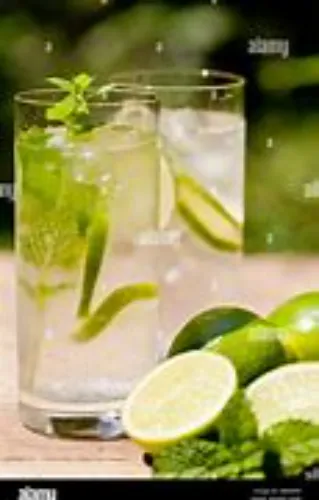 FRESH LIME MINT SODA/WATER